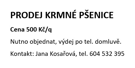 prodej krmné pšenice