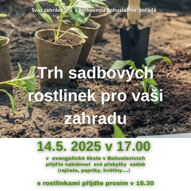 trh sadbových rostlinek