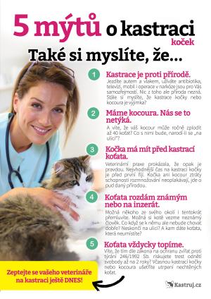kastrace koček_leták